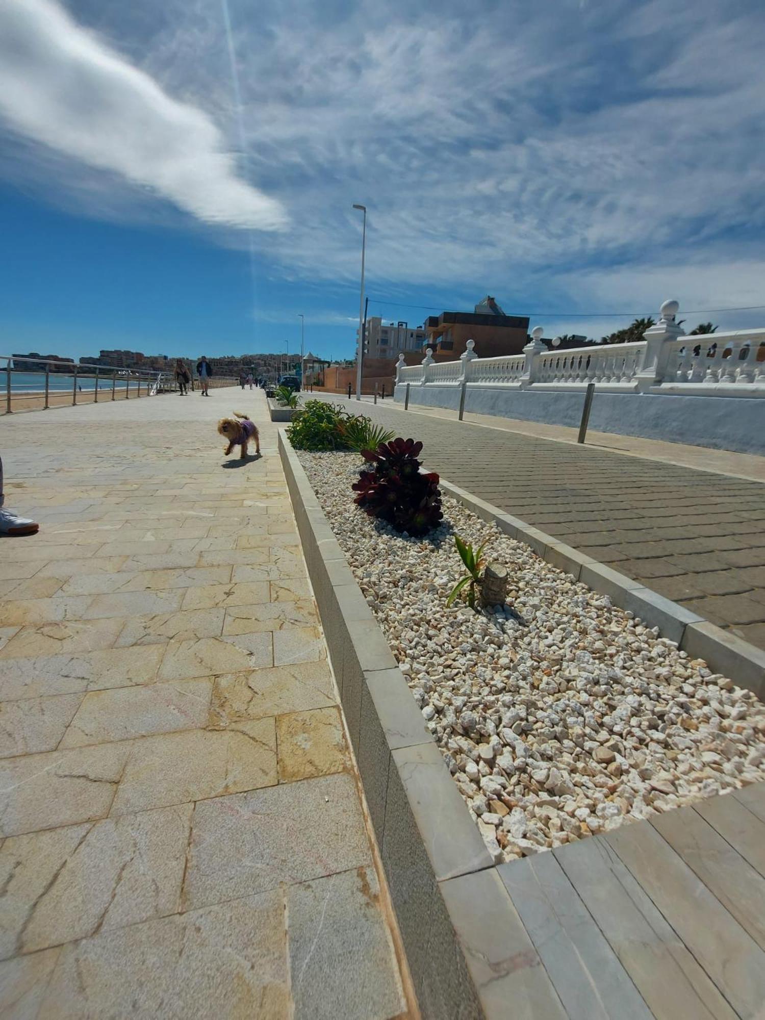 Maravillosa Terraza Con Vistas Al Mar, La Mata Torrevieja Exterior photo